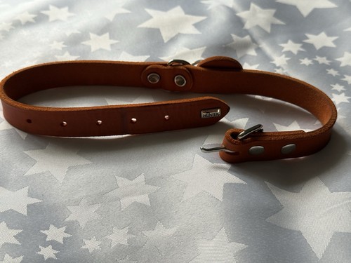 Hunter aalborg dog - dog, leather