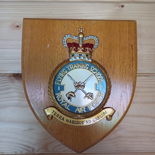 Royal air force no1 flying - air,
