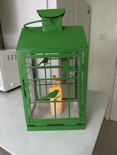 Beautiful Large Green Bird