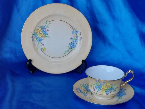 Cauldon china handpainted - ,