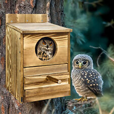 Owl House Screech Owl Boxes