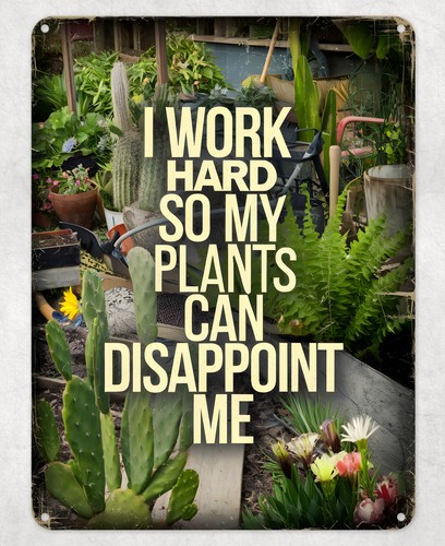 Work hard funny - i,