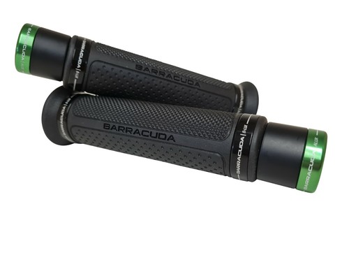 Kawasaki zrx1200 barracuda - kawasaki,