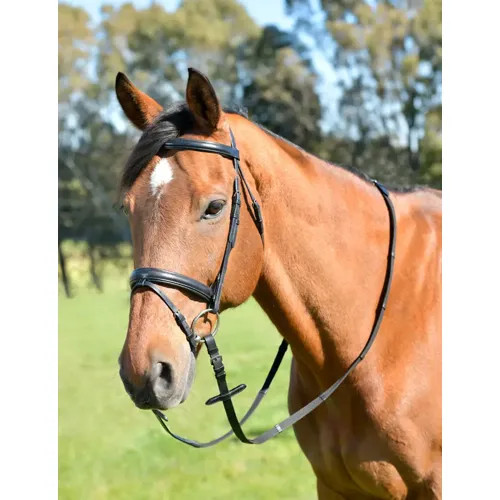 Kincade classic plain raised - classic,