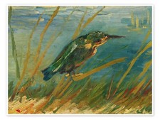 Kingfisher by the Waterside