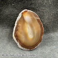 Natural Agate Slice 2-2.5 Inch