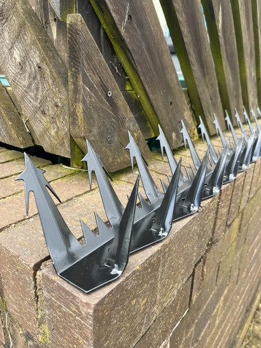 Razor point anti climb - point, anti-climb