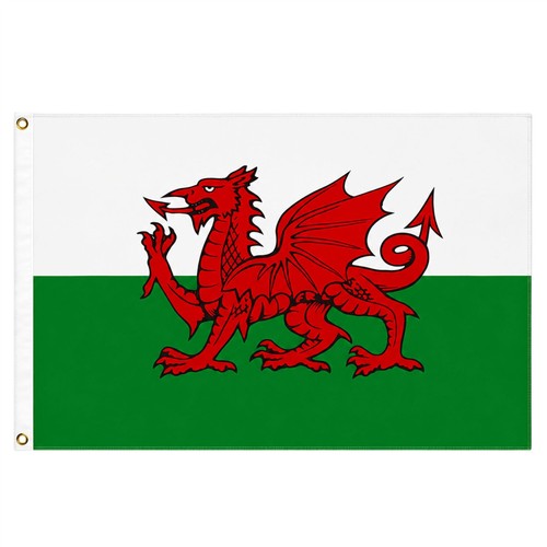 Large welsh flag - flag, wales