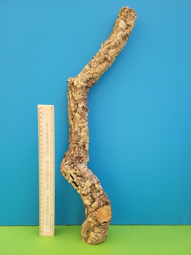 Cork bark branch - 54cm, snake