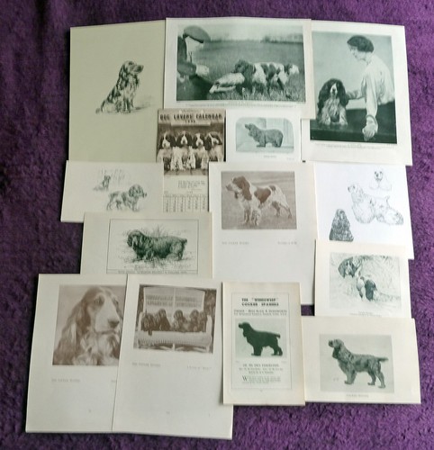 Cocker spaniel antique - cocker,