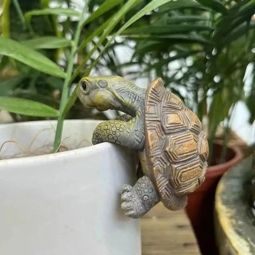 Hanging turtle tortoise - hanging,