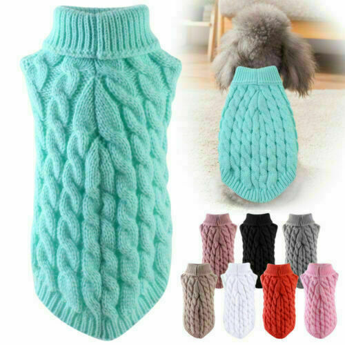 Hot puppy dog jumper - jumper, winter