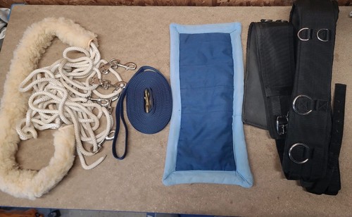 Lunging joblot full - lunging, joblot,full