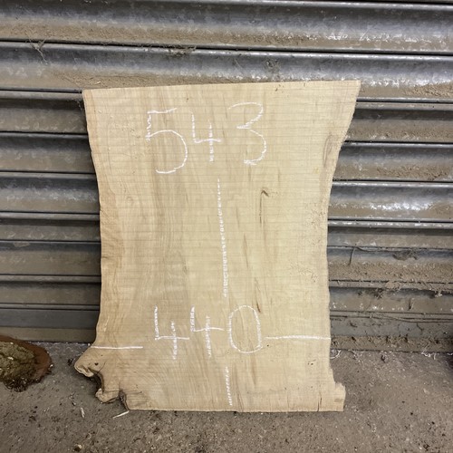 Live edge hornbeam timber - timber, wood