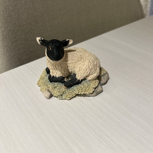 Border fine arts sheep - border,