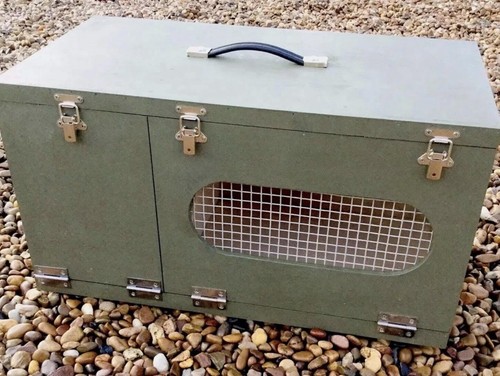 Weekend ferret carry box - ferret,