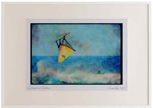Sailing 339058 neill cup - sailing,