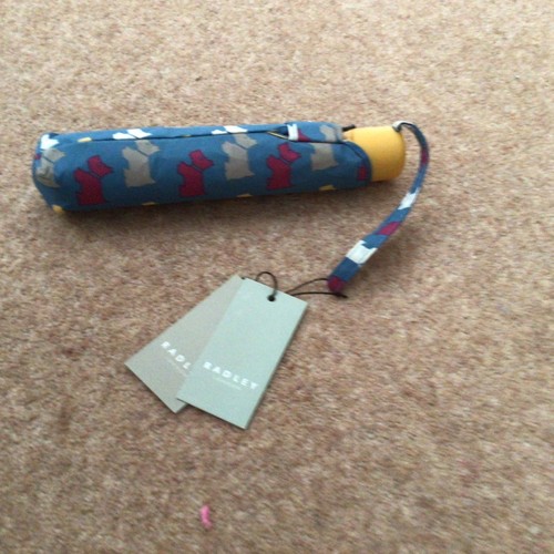 Radley ladies blue umbrella - blue,