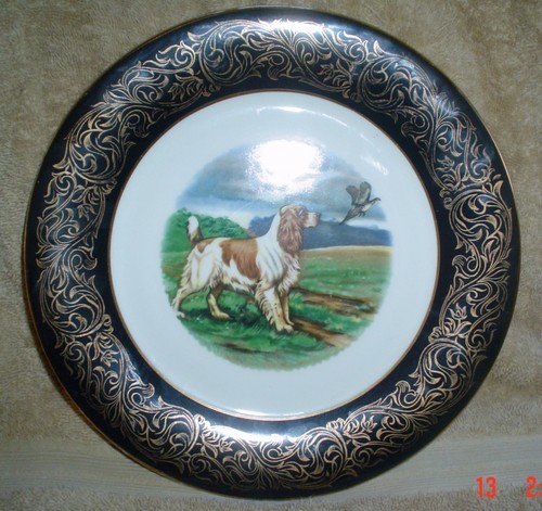 Superb large gundog - large, 1/2"