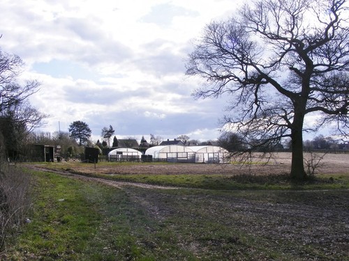 Photo 6x4 farm scene essington - photo,