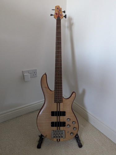 Cort model plus - a4, opn