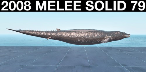 Top 2008m solid - 2008m,