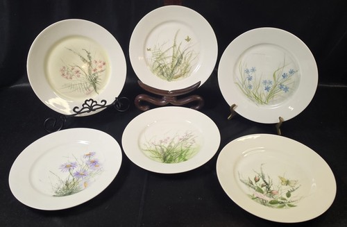 Set haviland limoges - set,