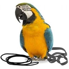 THE AVIATOR PARROT HARNESS &