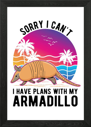 Armadillo gift framed wall - gift,