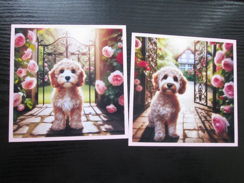 Cockapoo dog puppy - cockapoo, /