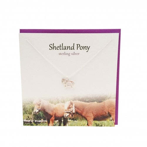 Scottish shetland pony - scottish,