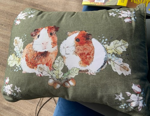 George asda green guinea - george,