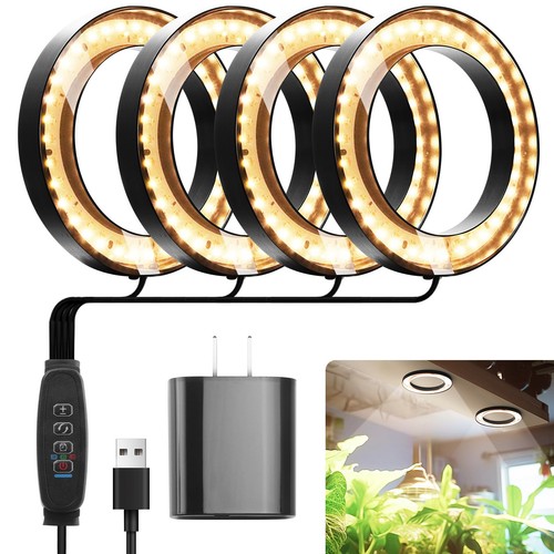 Ceiling grow lights - ceiling,