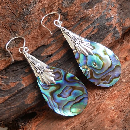 Paua abalone shell - paua, teardrop