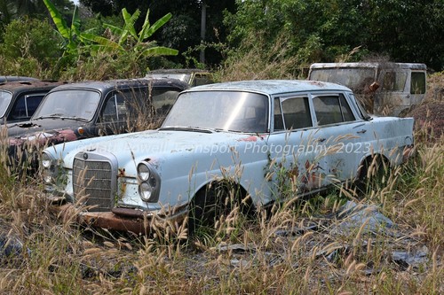 Car photo 12x8 - car,