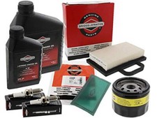 Briggs Stratton Maintenance
