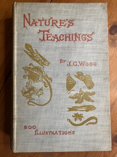 Nature teachings rev j - nature's, by