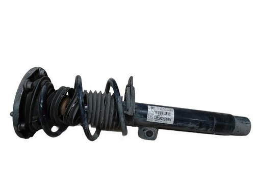31316886261 2495205 front
