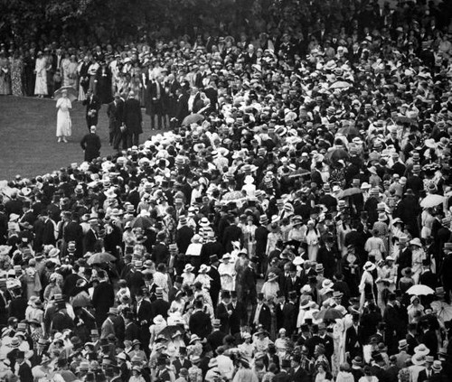 The crowd reception garden