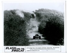 Flash and the Firecat 8x10