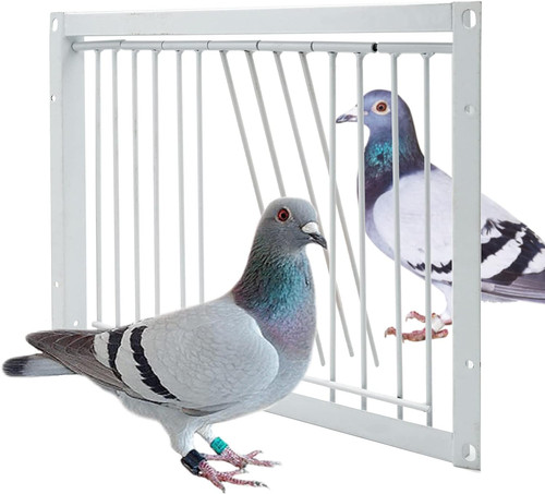 8in 30cm pigeon cage door - pigeon,