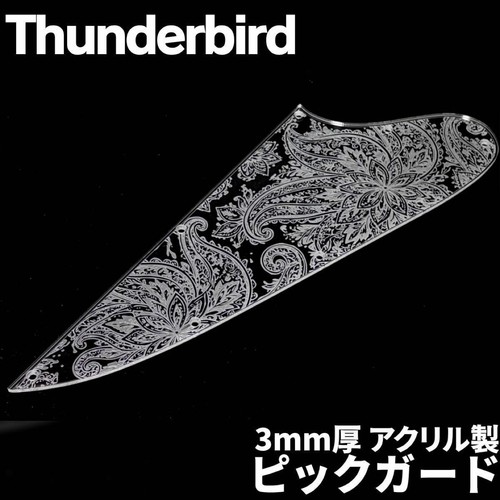 Gibson thunderbird acrylic - gibson,