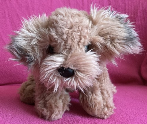 Keel signature cuddle puppies - keel,