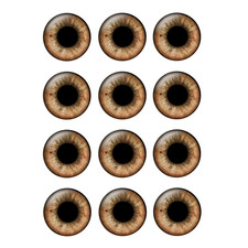 12Pairs/Bag 14Mm Eyes Chips