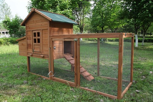 Outdoor wooden chicken - outdoor,