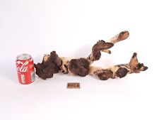 Fish Tank Driftwood Aquarium