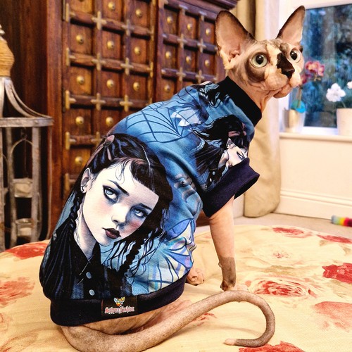 Wednesday cotton knit sphynx - wednesday,