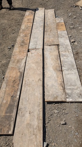 Reclaimed elm floorboards - reclaimed,