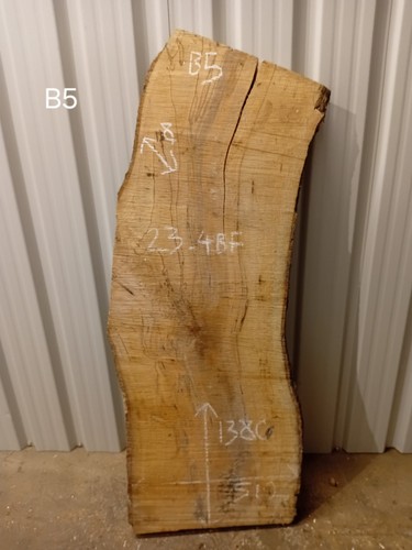 Spalted beech live - live, timber