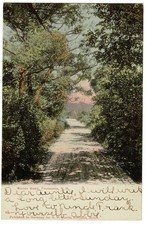 Woods Road, Franconia NH